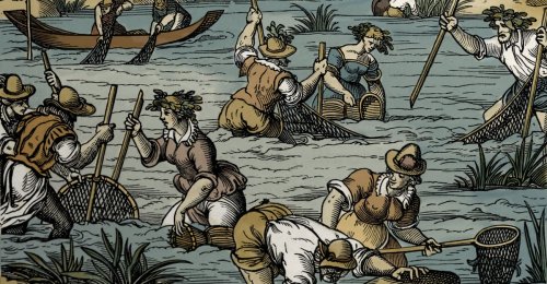 The Medieval Practices That Reshaped Europe’s Fish