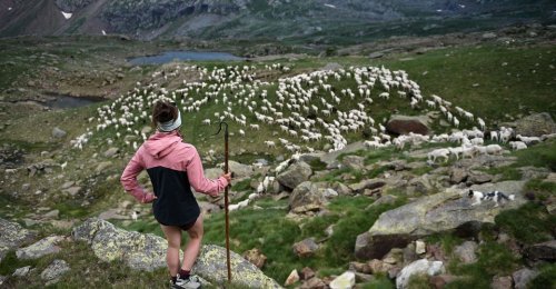 A New Generation of Shepherds in the French Pyrenees