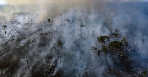 The Amazon Is Not Earth’s Lungs