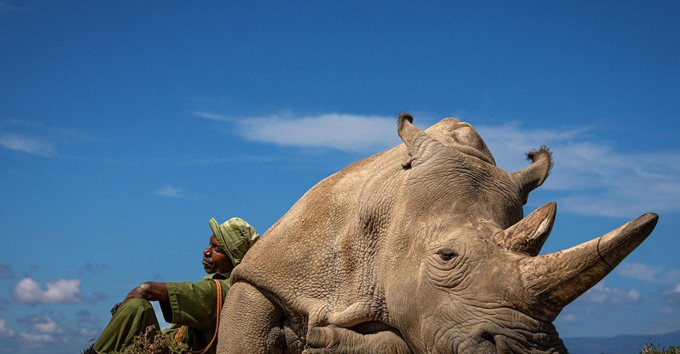 Winners of the 2022 Travel Photographer of the Year Contest