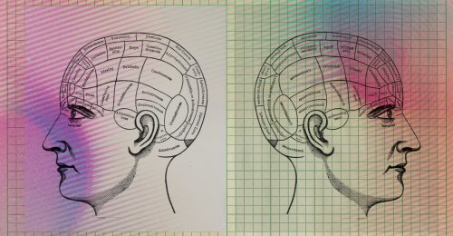 It’s Hard to Change Your Mind. A New Book Asks If You Should Even Try.