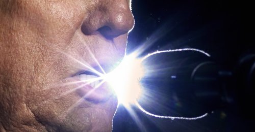 The Force That Holds Trump’s Coalition Together
