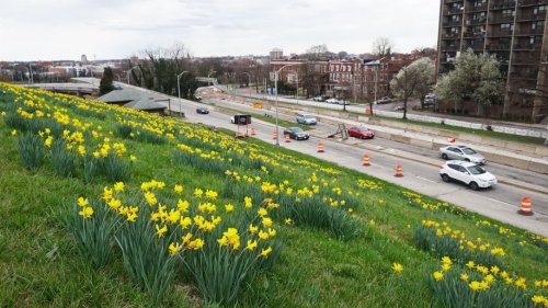 How federal dollars could help make roadways around Druid Hill Park more pedestrian-friendly