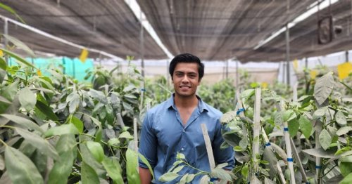Bhopal Boy Aims to Power An Avocado Farming Revolution