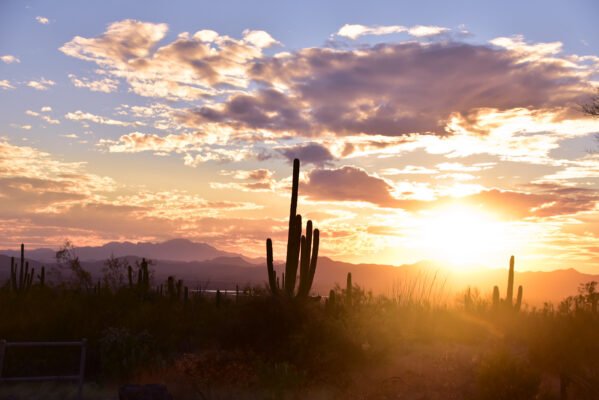11 Best Places to See the Sunset in Tucson