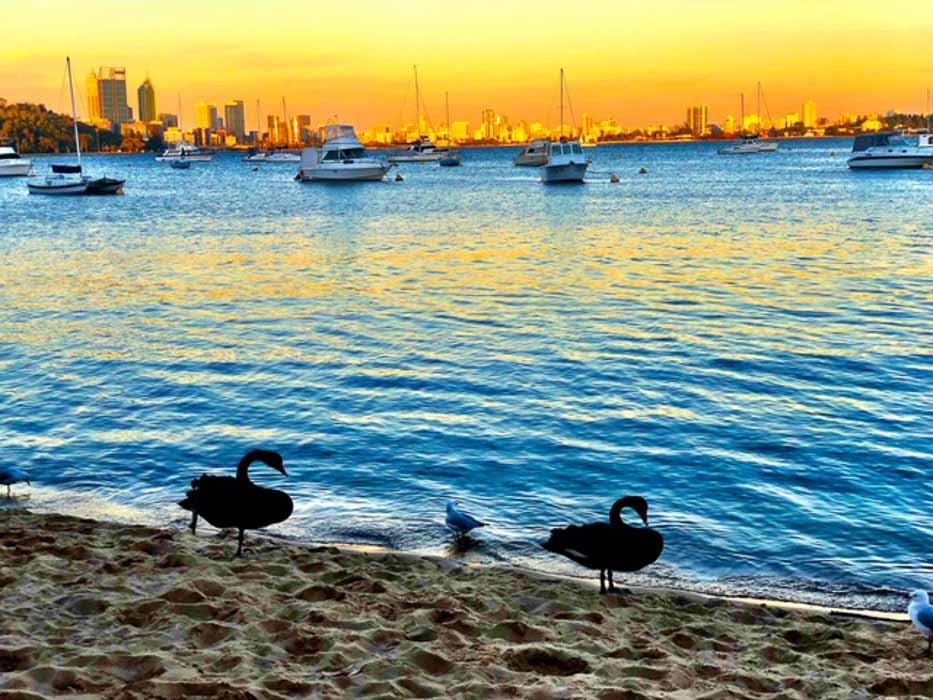 The Perfect Perth Itinerary for Boutique Hotel Lovers