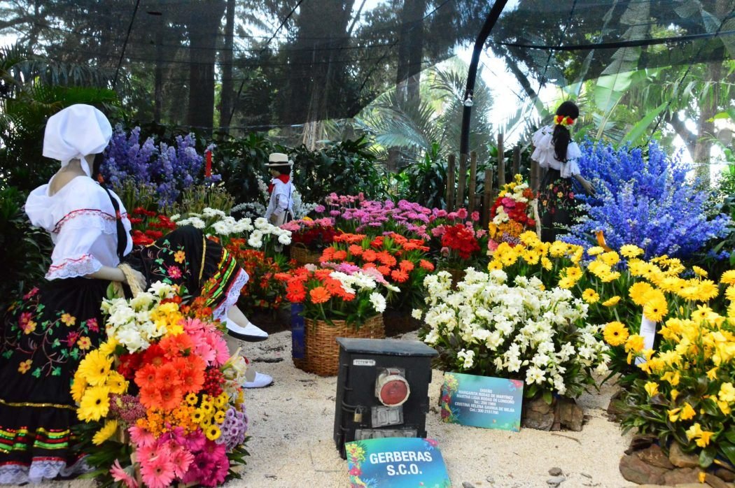Feria de Las Flores Medellin – The Most Instagrammable Week of the Year