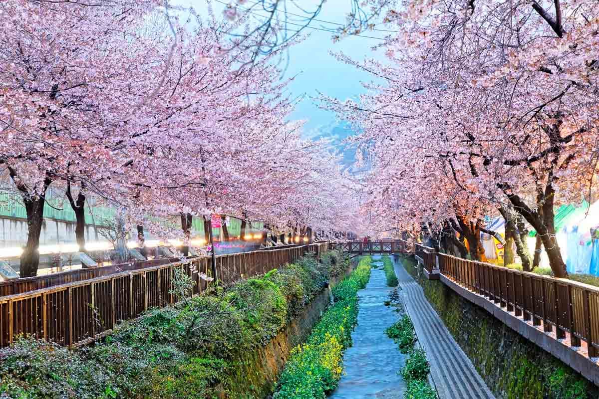 Where to Stay in Busan