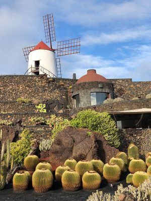 14 Things to do on Lanzarote That You Must Not Miss