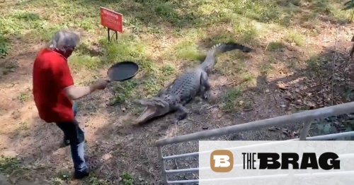 Aussie man fights off crocodile with frying pan. How's your Saturday going?