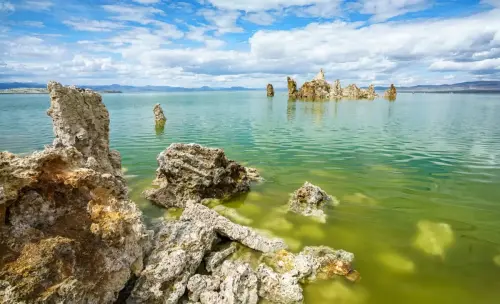 650 million year old creature found in California lake reveals how life evolved