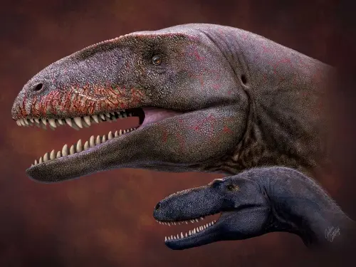 Paleontologists unearth massive apex predator 5x larger than T-Rex
