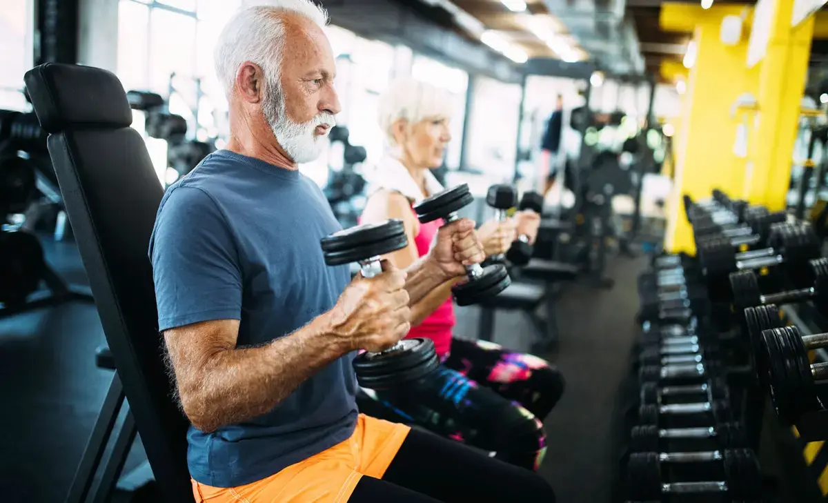 Scientists discover protein that could restore youthful muscle strength