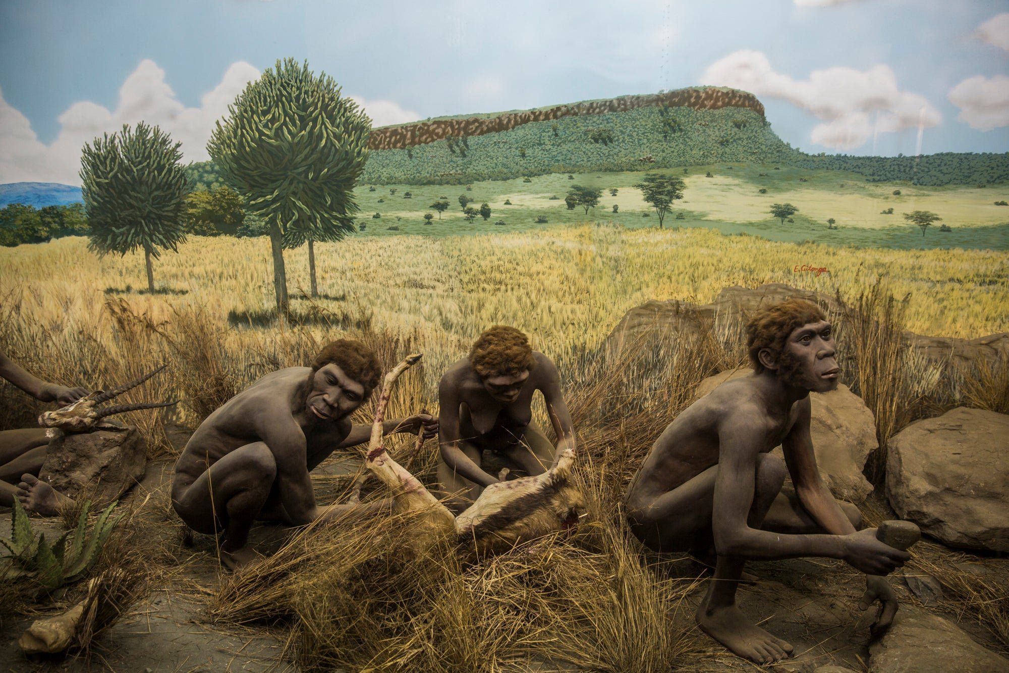 MIT researchers discovered when human language first emerged