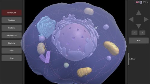 New AI predicts how enzymes behave – eliminates the need for live cell experiments