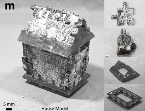 Coral-inspired technology turns atmospheric CO₂ into durable, fireproof building materials