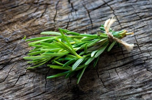 Common herb restores memory and reduces inflammation for Alzheimer’s patients