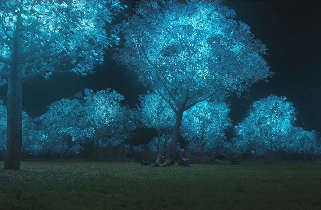 MIT is transforming plants into bright, eco-friendly city lights