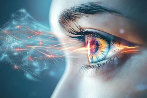 Scientists discover a critical link between breathing and vision