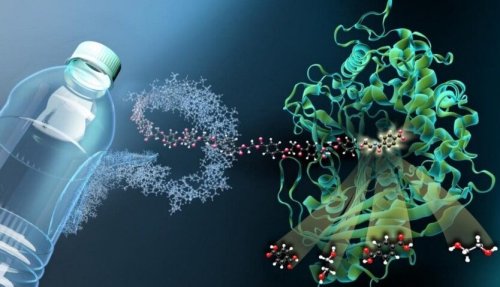 Scientists engineer bacteria to replace fossil-fuel-based plastics