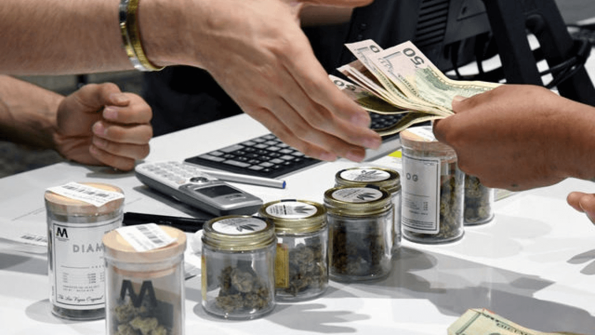 Compliance | The National Cannabis Industry Association