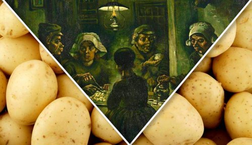 History of Potatoes: The Spuds that Make the World Go Round