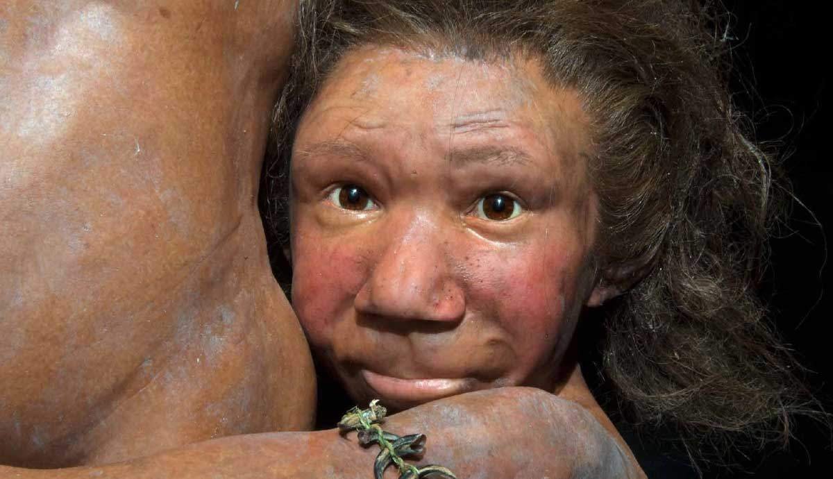 Who Were the Neanderthals & Why Are They Important to Modern Humans?