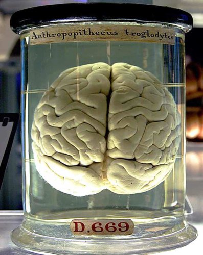 Philosophical Skepticism Explained