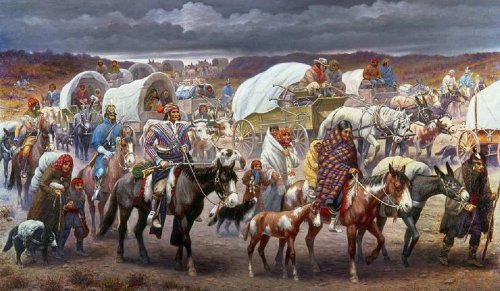 Native Americans: A History of Conflict in the Sout