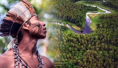 Surprising Archeological Discoveries in the Heart of the Amazon Jungle