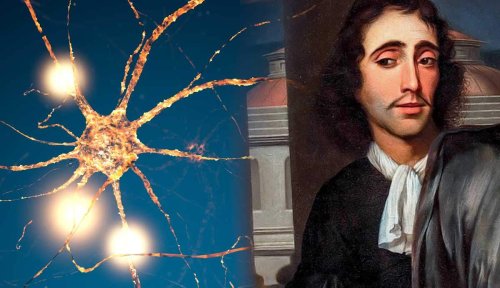The Mind & Body Problem in the Philosophy of Baruch Spinoza