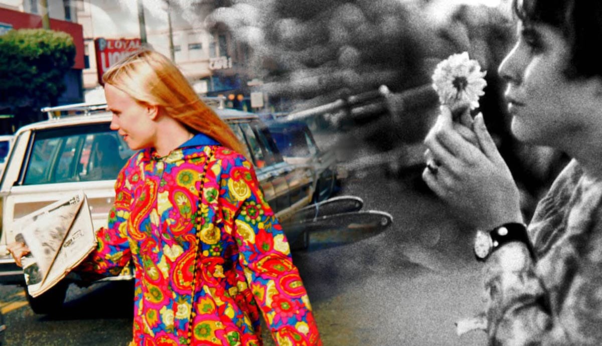 From Medicine to Poison: The Magic Mushroom in 1960s America