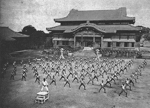 The History of Martial Arts