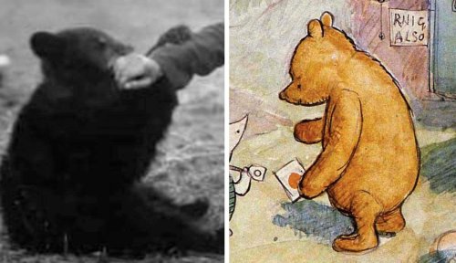 The Wartime Origins of Winnie-the-Pooh