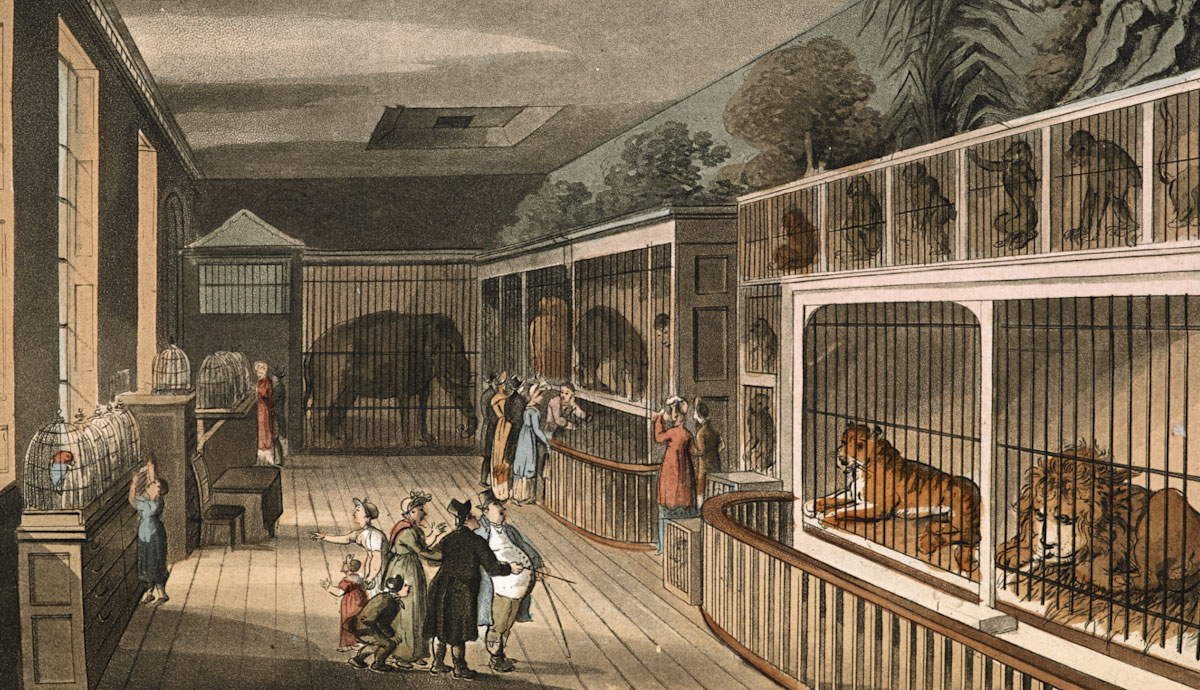 Royal Menageries: How an Elephant Wound Up in Charlemagne’s Court