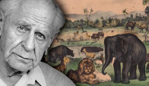 What Are Karl Popper’s Three Worlds?