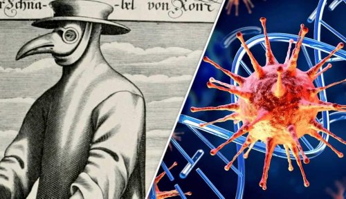 4 Diseases That Impacted & Altered Human Existence