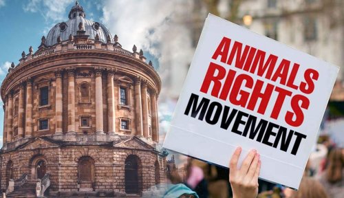 The Philosophy of the Oxford Group: Vegetarianism & Animal Rights
