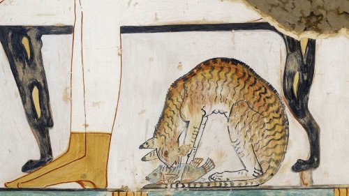 Cats and Cat Gods in Ancient Egypt