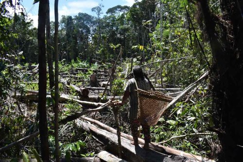 The Amazon: Its People and History