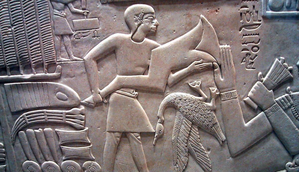 12 Animal Hieroglyphs and How the Ancient Egyptians Used Them