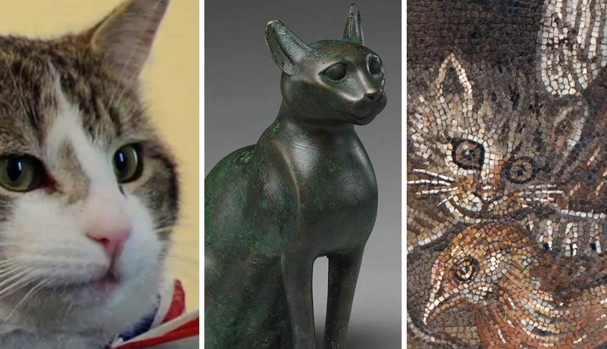 The History of Cats in Human Civilization