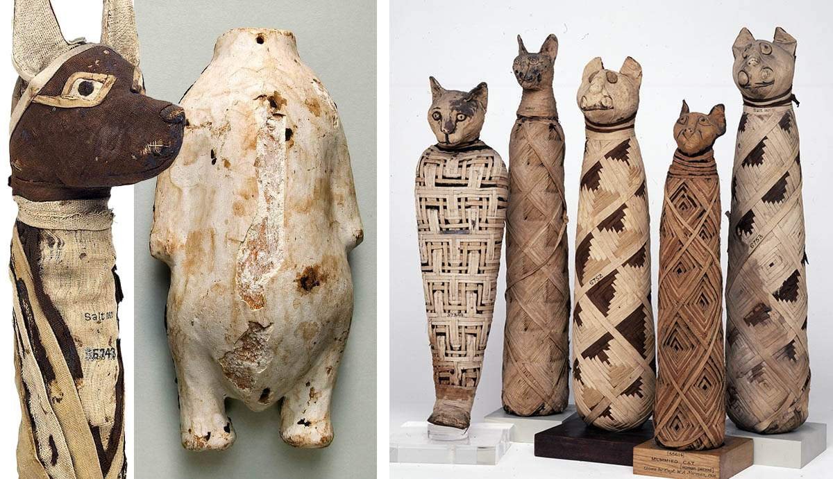 Mummified Animals: How Ancient Egypt Preserved Pets