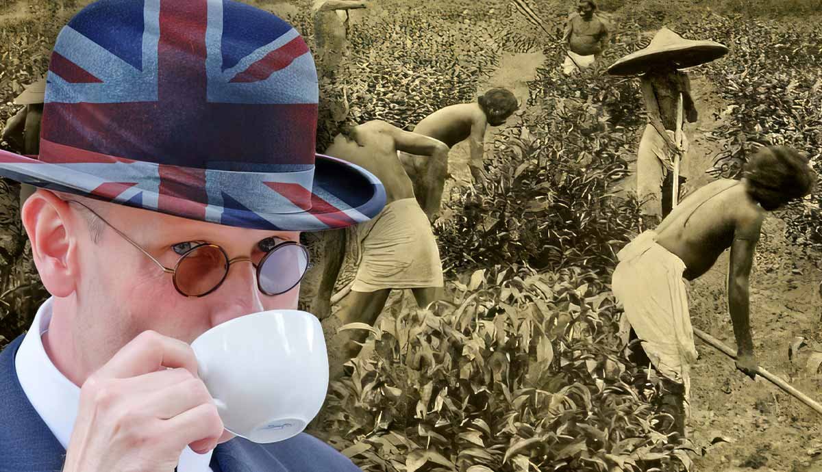 Why Do the British Love Tea so Much?