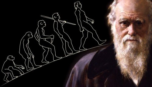Charles Darwin’s Most Important Contributions to Philosophy