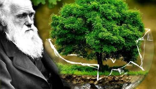 Charles Darwin’s Theory of Evolution: Problems For Philosophers Today