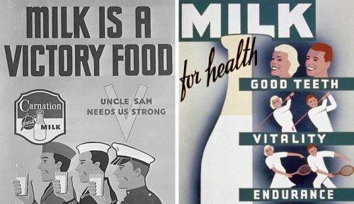 Protein or Propaganda? The Story Behind America’s Love Affair with Milk