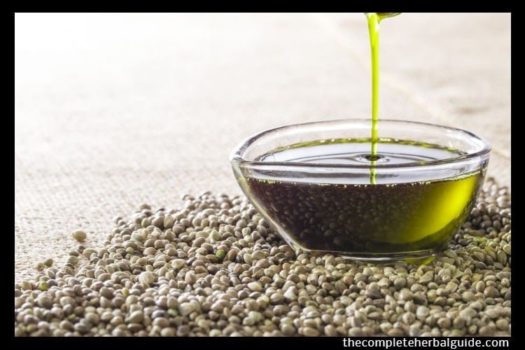 5 Evidence-Based Health Benefits Of Hemp Seed Oil