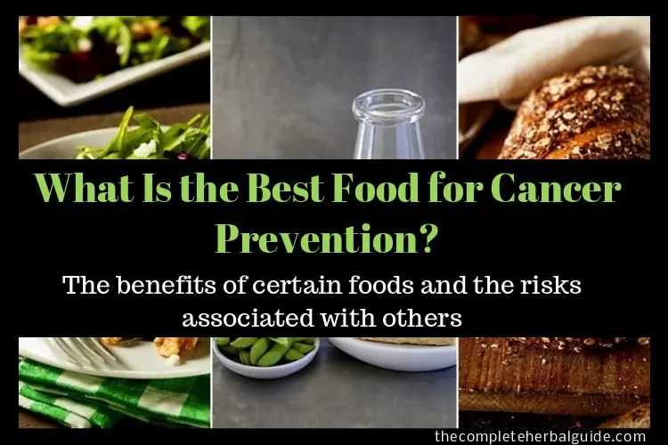 What Is the Best Food for Cancer Prevention?
