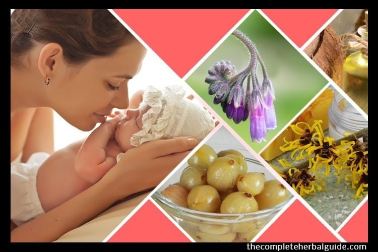 Top 5 Herbal Remedies for New Moms